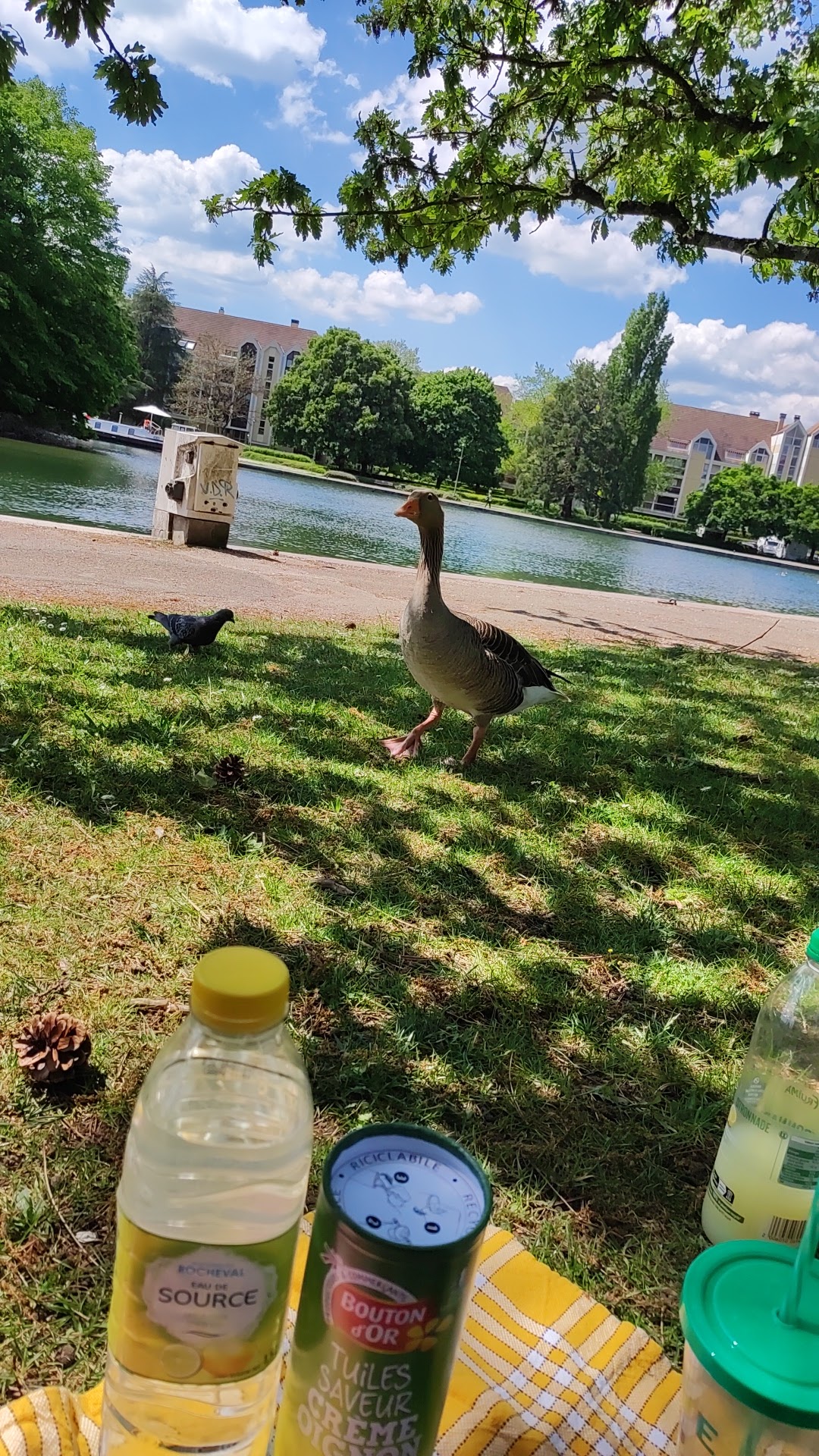 Photo n° 2 de l'avis de Ponyo. fait le 10/05/2022 à 08:35