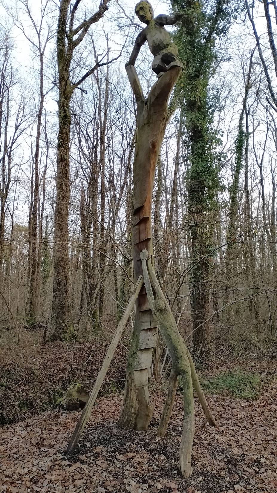 Photo n° 1 de l'avis de Thierry.e fait le 28/01/2024 à 18:27