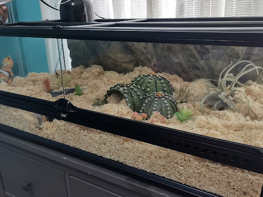 Pet Supply Store «PetSmart», reviews and photos, 9887 76th St, Pleasant Prairie, WI 53158, USA