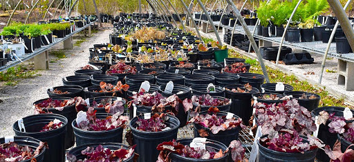 Plant Nursery «Goldner Walsh Garden and Home», reviews and photos, 559 Orchard Lake Rd, Pontiac, MI 48341, USA