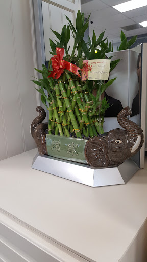 Tea House «EYEfiniTEA Optique & Lounge», reviews and photos, 15700 Monterey Rd #100, Morgan Hill, CA 95037, USA