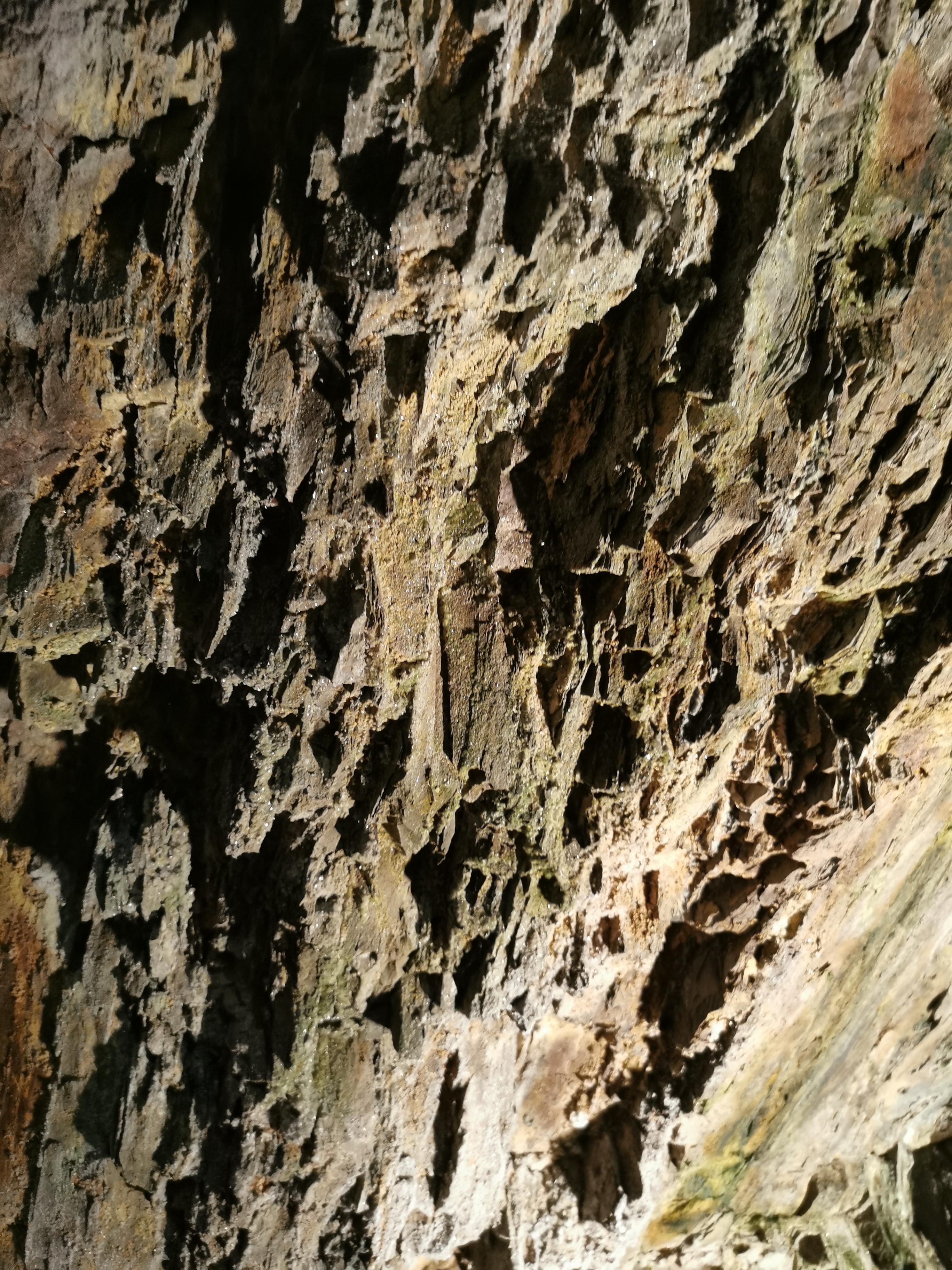 Photo n° 11 de l'avis de Charlotte.r fait le 15/02/2022 à 15:23