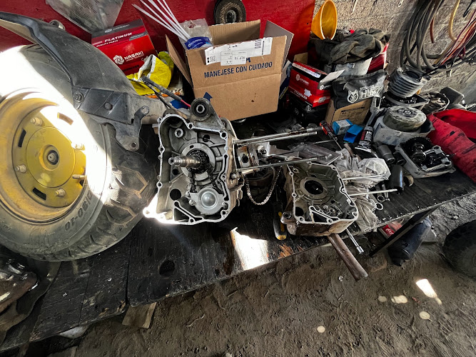 Moto Servicio “Psycho Biker”