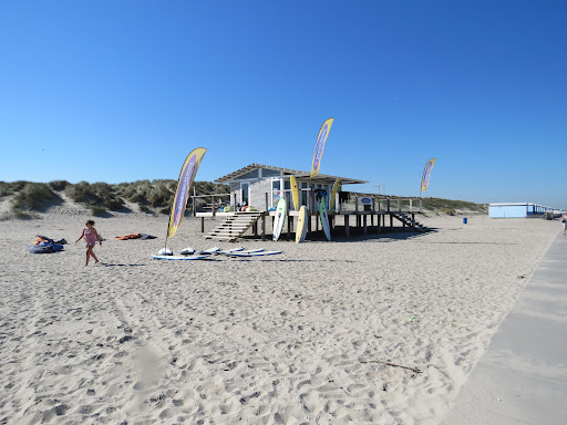 Surfschool Hoek van Holland