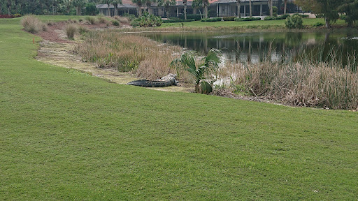 Golf Club «Crown Colony Golf and Country Club», reviews and photos, 8851 Crown Colony Blvd, Fort Myers, FL 33908, USA