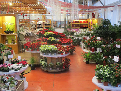 Jardinerie CHANTALAT à Brive-la-Gaillarde