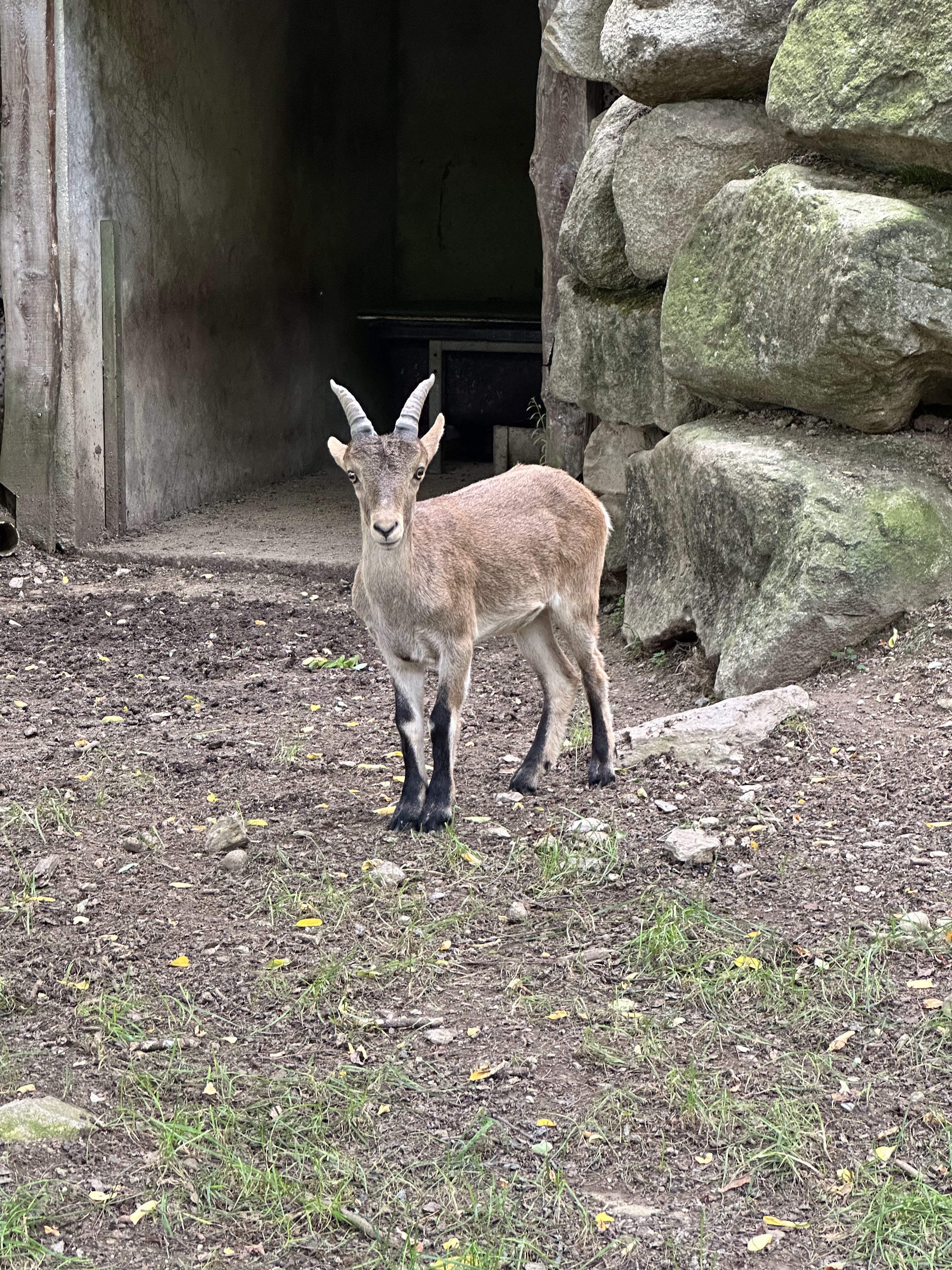 Photo n° 3 de l'avis de Tiffany.n fait le 25/09/2023 à 08:10