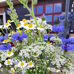 Photo n°10 de l'avis de Paul.e fait le 29/05/2023 à 18:20 sur le  Gaststätte Moorbauer à Malchin