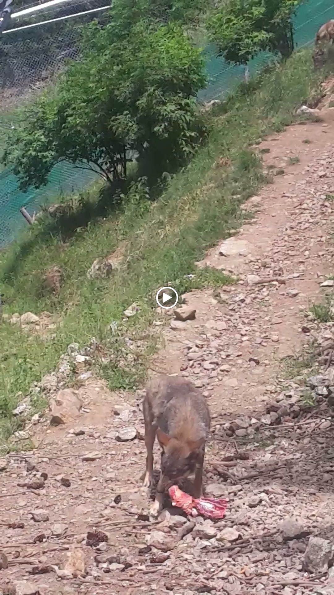 Photo n° 3 de l'avis de Alain.u fait le 14/09/2023 à 10:48