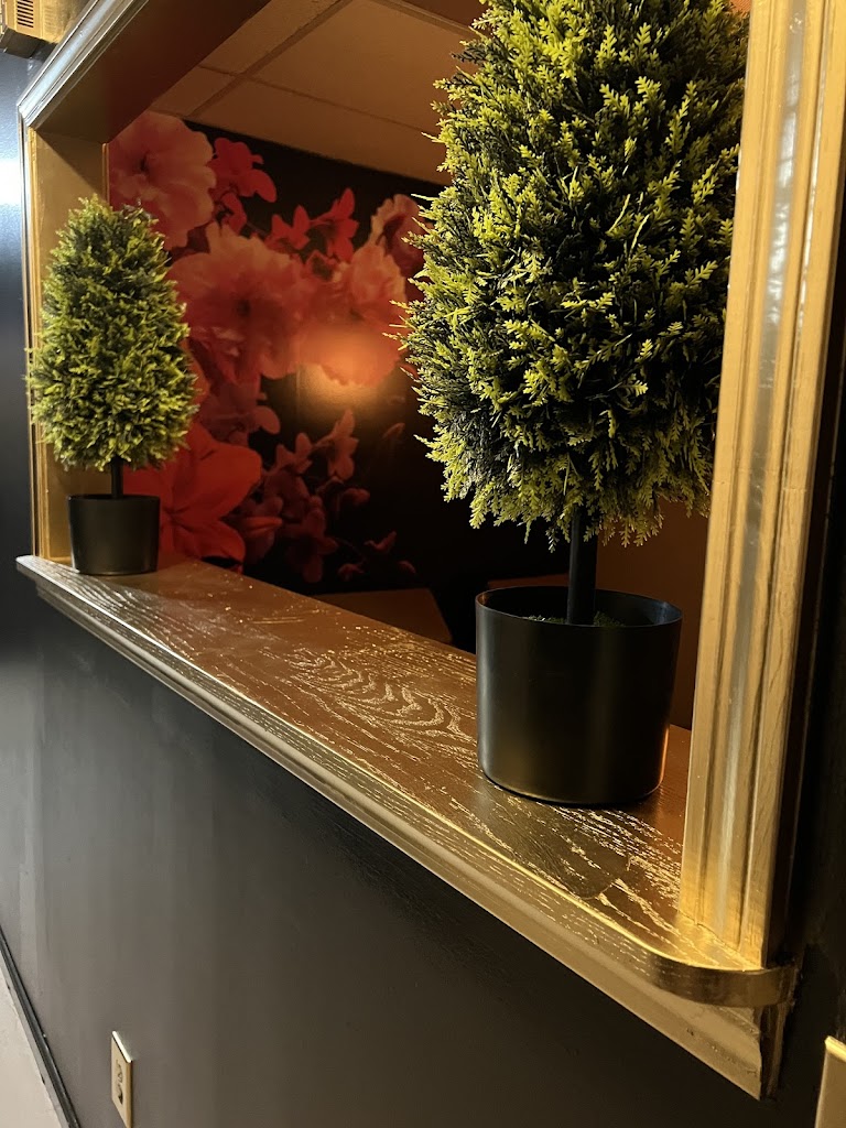 Nostalgia Wellness and Aesthetics Spa ATL 30084