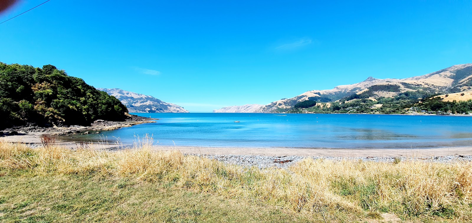 Foto von Wainui Beach mit geräumige küstenlinie