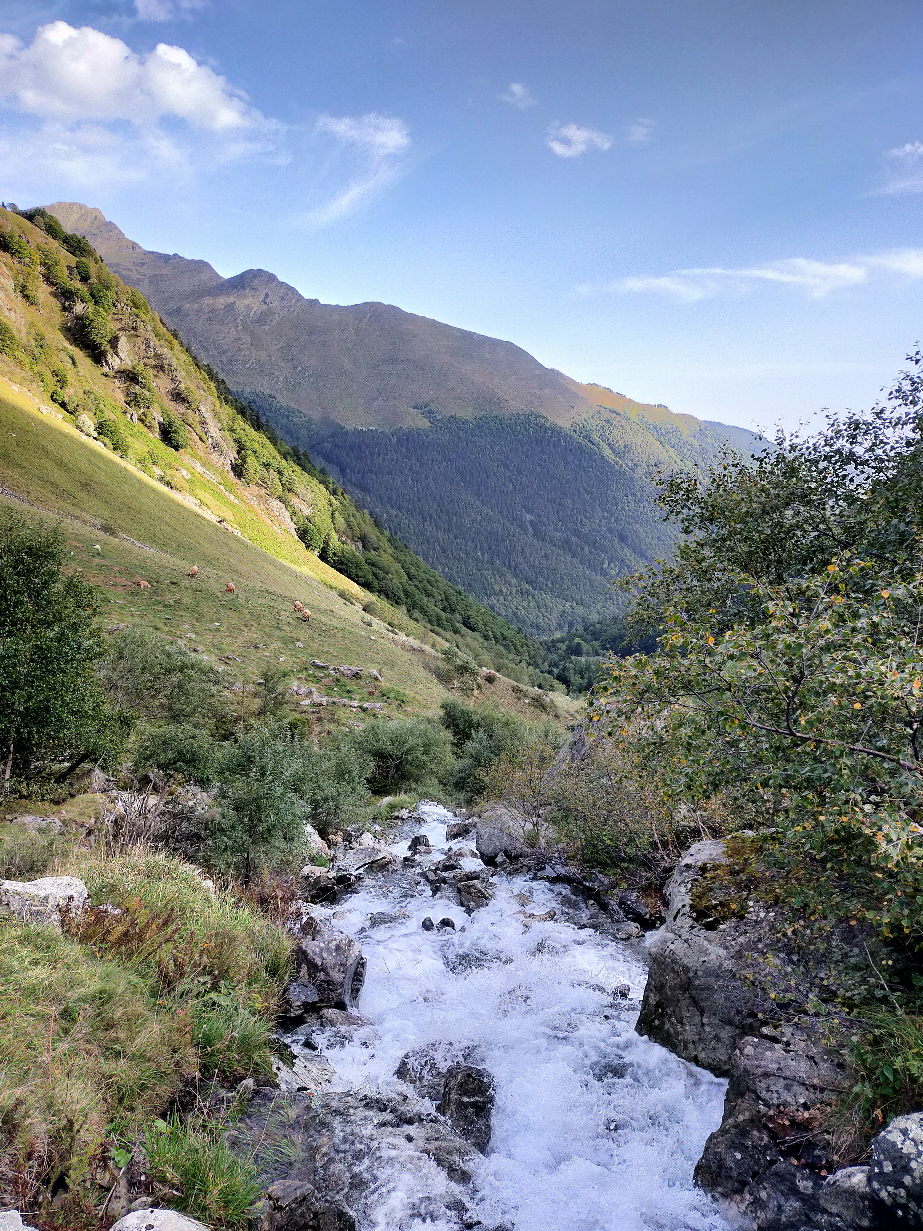 Photo n° 4 de l'avis de Bernadette.a fait le 16/09/2022 à 19:41