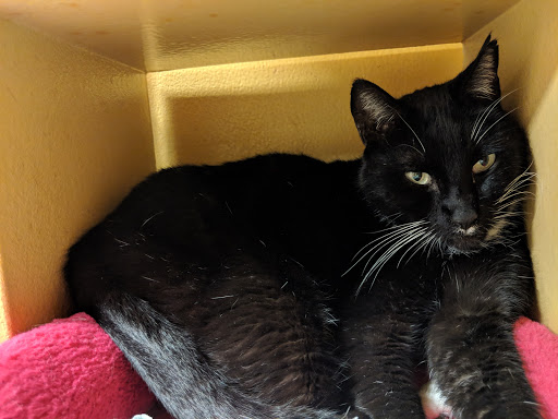 Pet Supply Store «PetSmart», reviews and photos, 26532 Towne Centre Dr, Foothill Ranch, CA 92610, USA