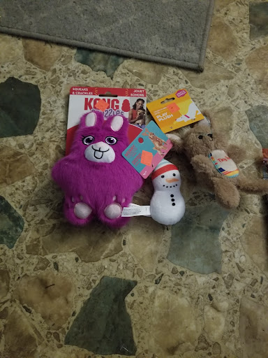 Pet Supply Store «Petco Animal Supplies», reviews and photos, 1310 Tingle Cir E b, Mobile, AL 36606, USA