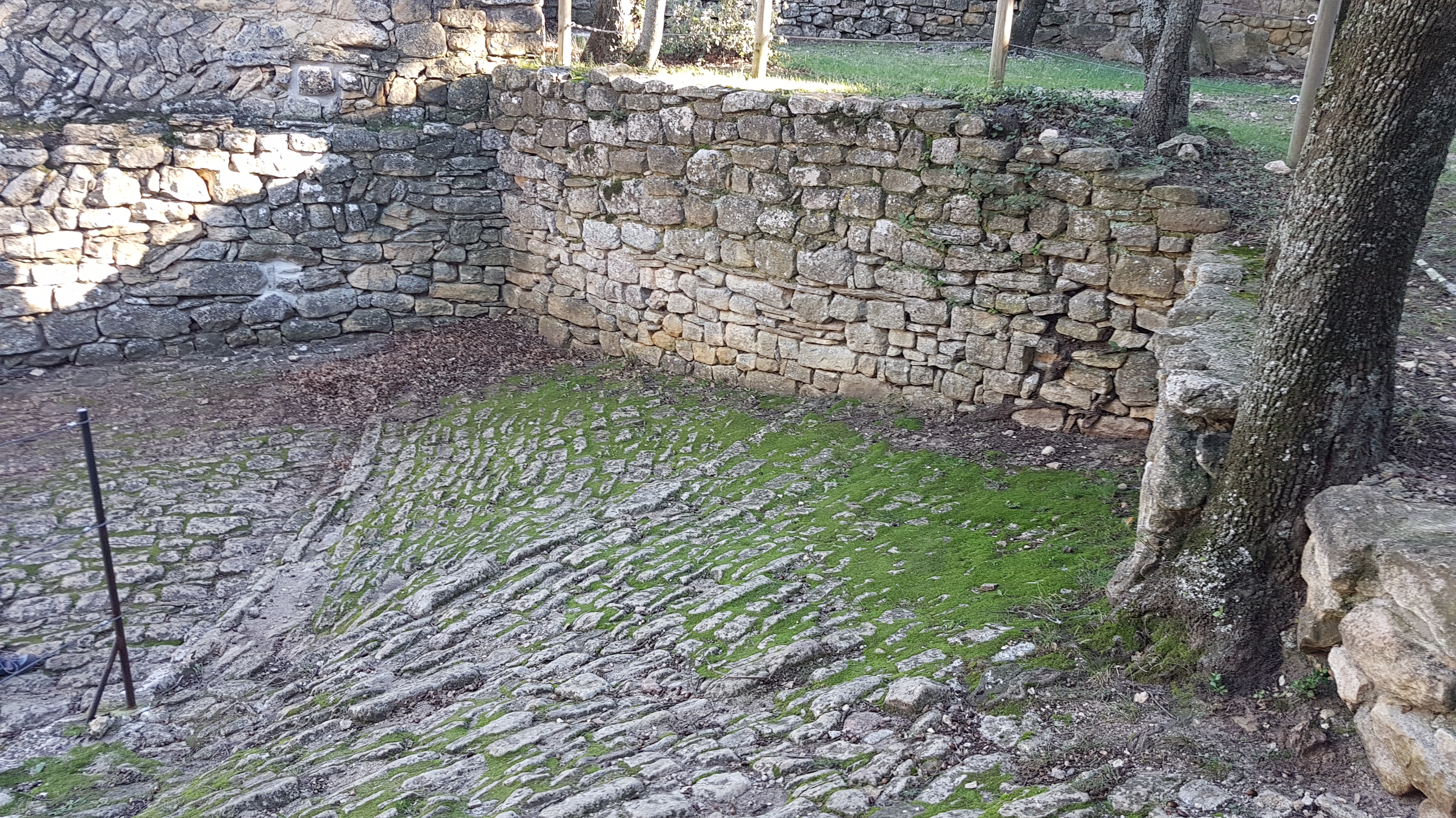 Photo n° 2 de l'avis de Vittorio.o fait le 01/01/2019 à 15:02