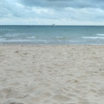 Photo n° 1 de l'avis de Vanessa.. fait le 23/07/2023 à 10:17 pour La Foll’Assiette à Les Sables-d'Olonne