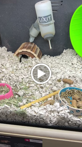 Pet Supply Store «PetSmart», reviews and photos, 190 Rt 10 West, East Hanover, NJ 07936, USA