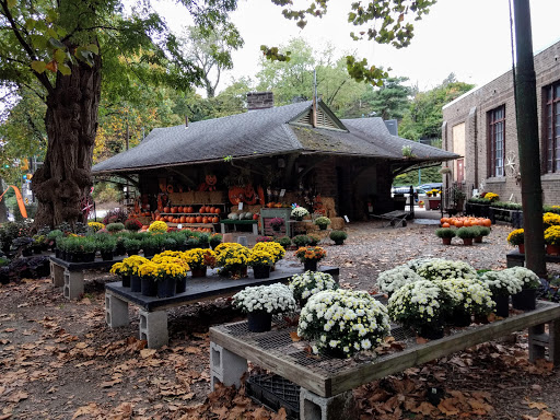 Garden Center «Chestnut Hill Flower & Garden», reviews and photos, 7639 Germantown Ave, Philadelphia, PA 19118, USA