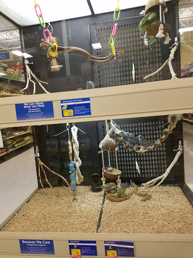 Pet Supply Store «PetSmart», reviews and photos, 79375 CA-111, La Quinta, CA 92253, USA