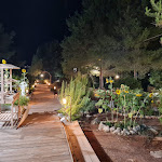 Photo n°21 de l'avis de Veronica.e fait le 22/02/2023 à 15:07 sur le  Restaurant Boccaccio à Santa Maria di Leuca