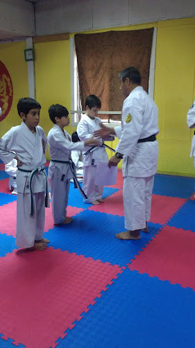 Karate-Do Shotokan - Temuco