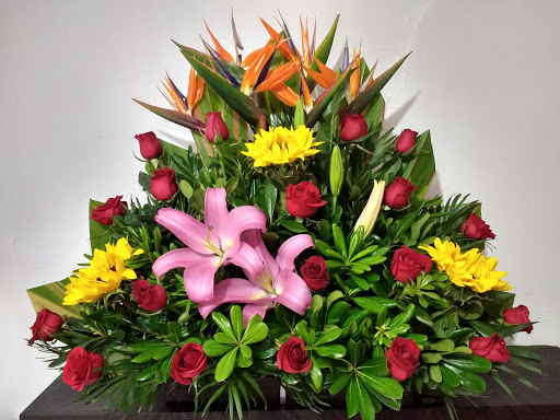 Floreria Envia Rosas - Envia flores a domicilio Cdmx Nezahualcoyotl Chimalhuacan Los Reyes