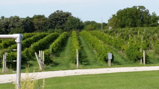 Winery «SchillingBridge Winery & Micro Brewery», reviews and photos, 62193 710th Rd, Pawnee City, NE 68420, USA