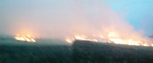 Nature Preserve «Jacob Krumm Nature Preserve», reviews and photos, 15148 Jacob Ave, Grinnell, IA 50112, USA