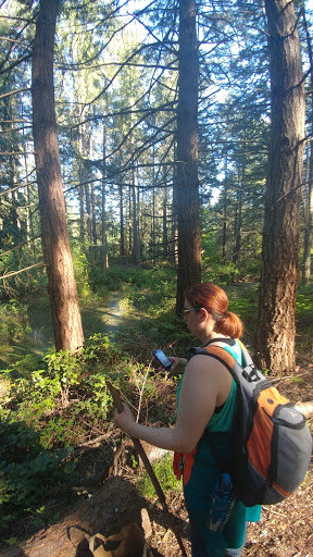 Golf Club «Fircrest Golf Club», reviews and photos, 1500 Regents Blvd, Fircrest, WA 98466, USA