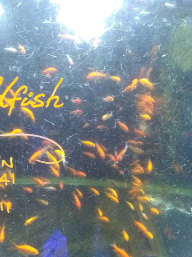 Pet Store «Petland Pensacola», reviews and photos, 6235 N Davis Hwy, Pensacola, FL 32504, USA