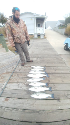 Marina «Smith Point Marina», reviews and photos, 989 Smith Point Rd, Reedville, VA 22539, USA