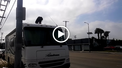 Car Wash «Lincoln Millennium Car Wash», reviews and photos, 2454 Lincoln Blvd, Venice, CA 90291, USA