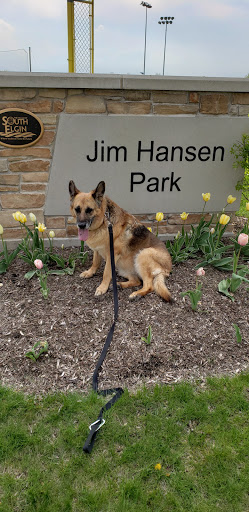 Park «Jim Hansen Park», reviews and photos, 338 Valley Forge Ave, South Elgin, IL 60177, USA