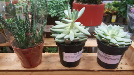 Home Improvement Store «The Home Depot», reviews and photos, 5101 Jonestown Rd, Harrisburg, PA 17112, USA