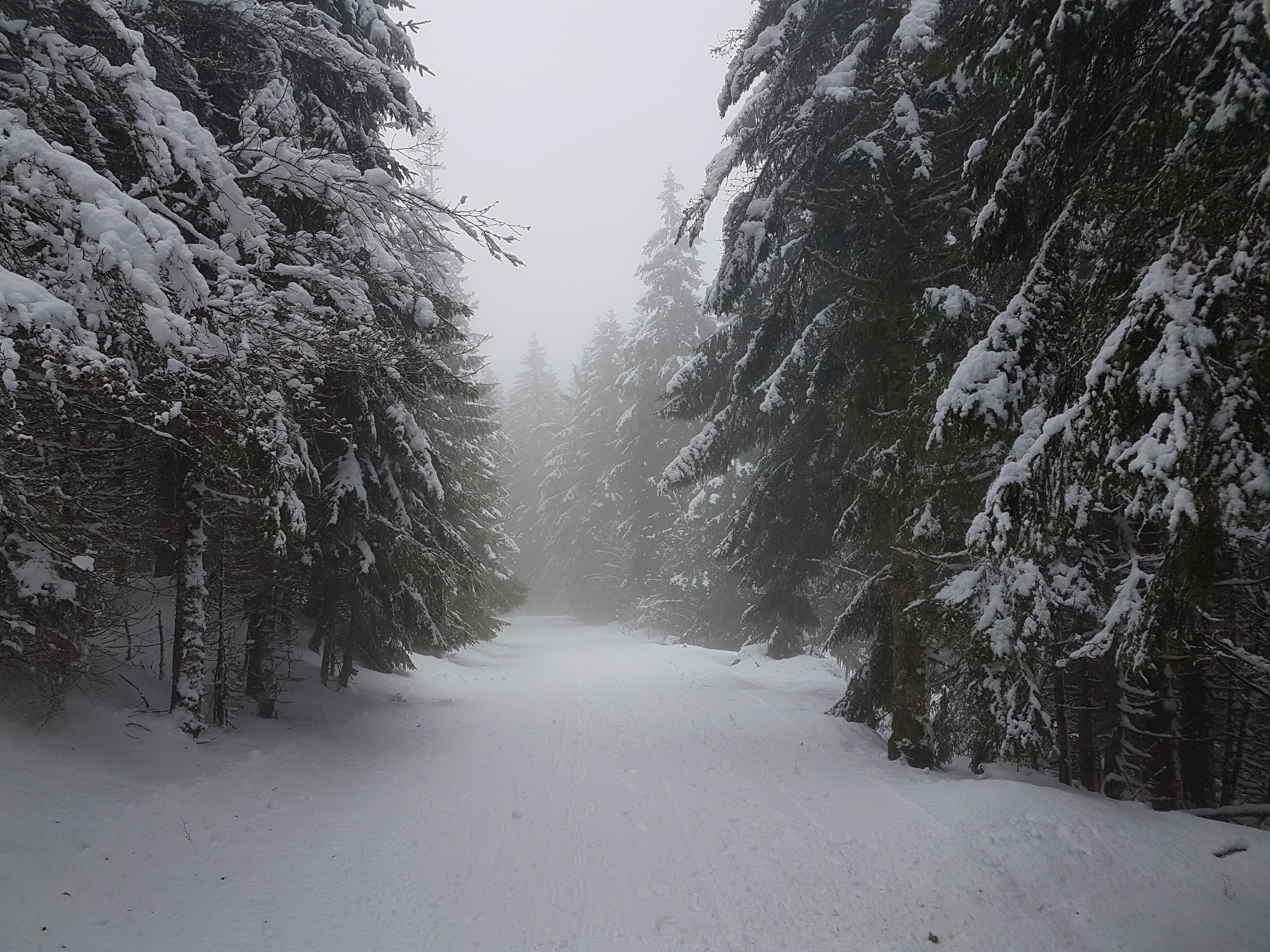 Photo n° 1 de l'avis de Mark.a fait le 08/02/2017 à 06:45