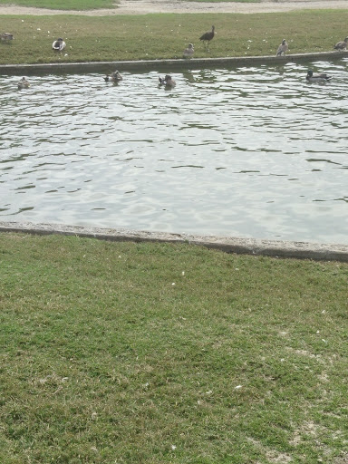 Park «Greer Park», reviews and photos, 6900 W McFadden Ave, Huntington Beach, CA 92647, USA