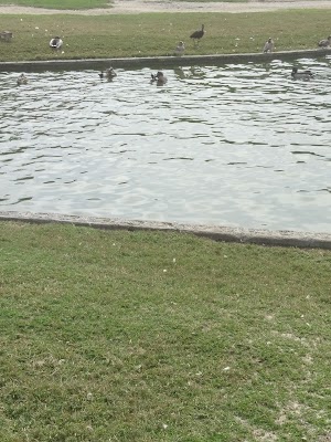 Greer Park - photo 82