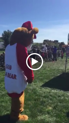 Insurance Agency «Jennifer McAdams - State Farm Insurance Agent», reviews and photos