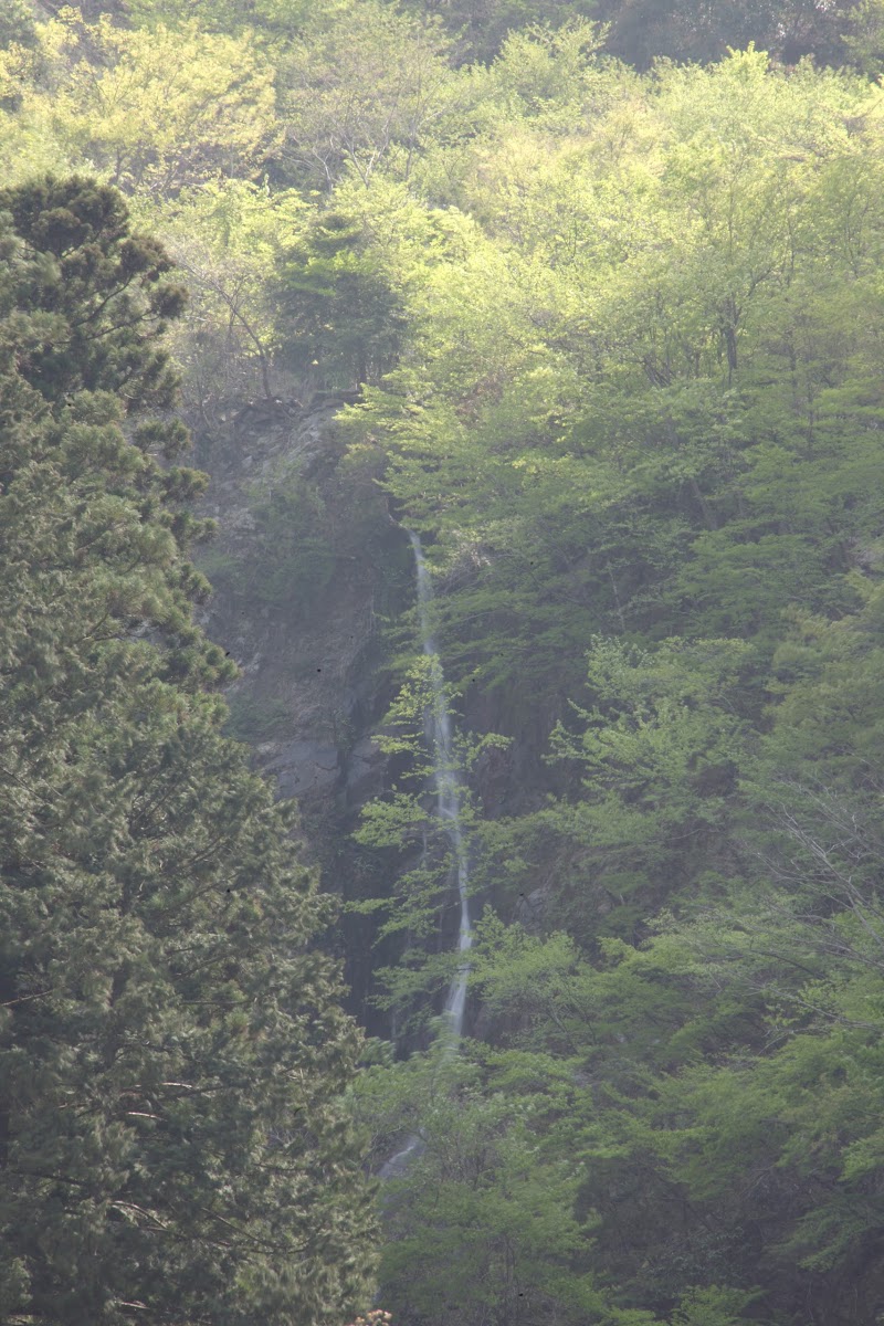 分地の滝（左沢）