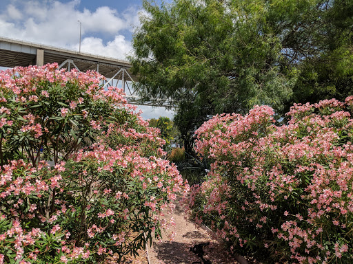 Art Museum «The Art Museum of South Texas», reviews and photos, 1902 N Shoreline Blvd, Corpus Christi, TX 78401, USA