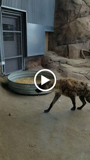 Museum «Tropical Discovery», reviews and photos, 2900 E 23rd Ave, Denver, CO 80205, USA