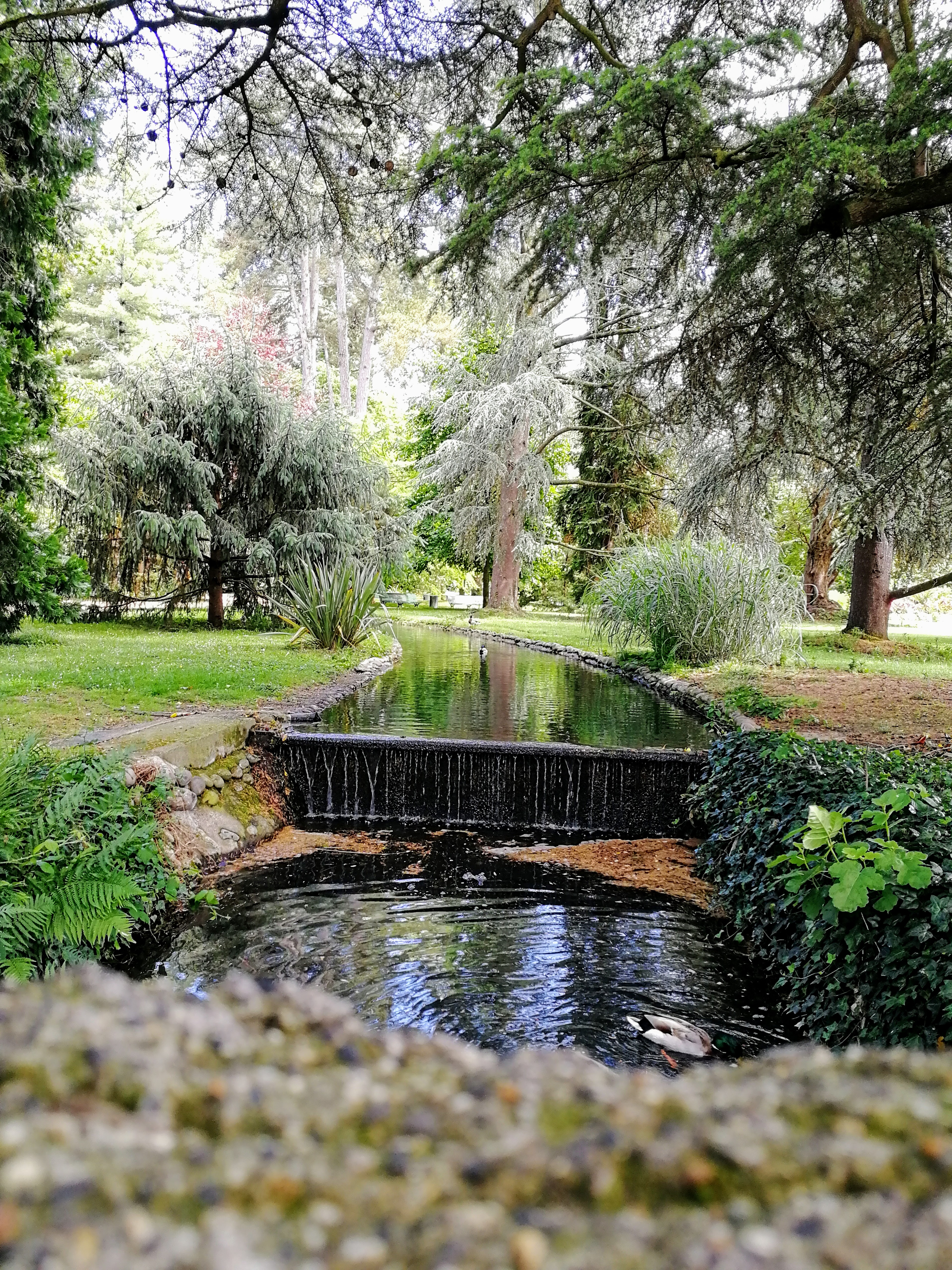 Photo n° 1 de l'avis de Amélie. fait le 11/06/2019 à 14:26