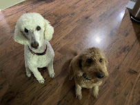 Lead The Way - Photo 9 - Car repair in Tallahassee, FL, Tallahassee