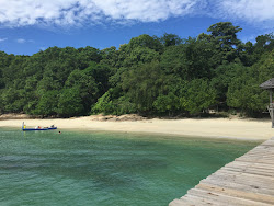 Luke Yon Bay Beach'in fotoğrafı vahşi alan