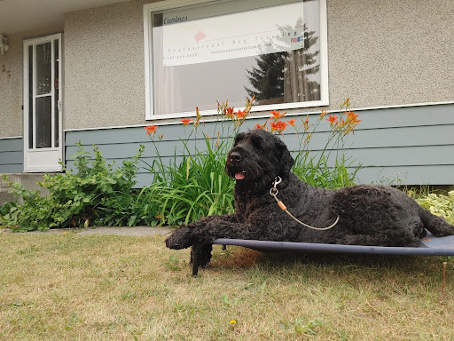 Canines Alberta Professional Dog Training