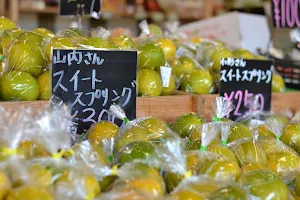 Minamata Roadside Station (Matsubokkuri Minamata Kanko Produce Market) image