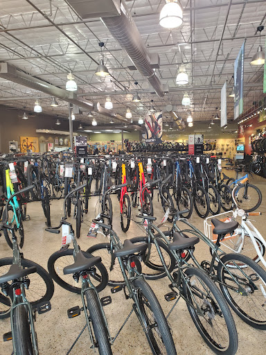 Bicycle Store «Bike Barn - West University», reviews and photos, 5339 Weslayan St, Houston, TX 77005, USA