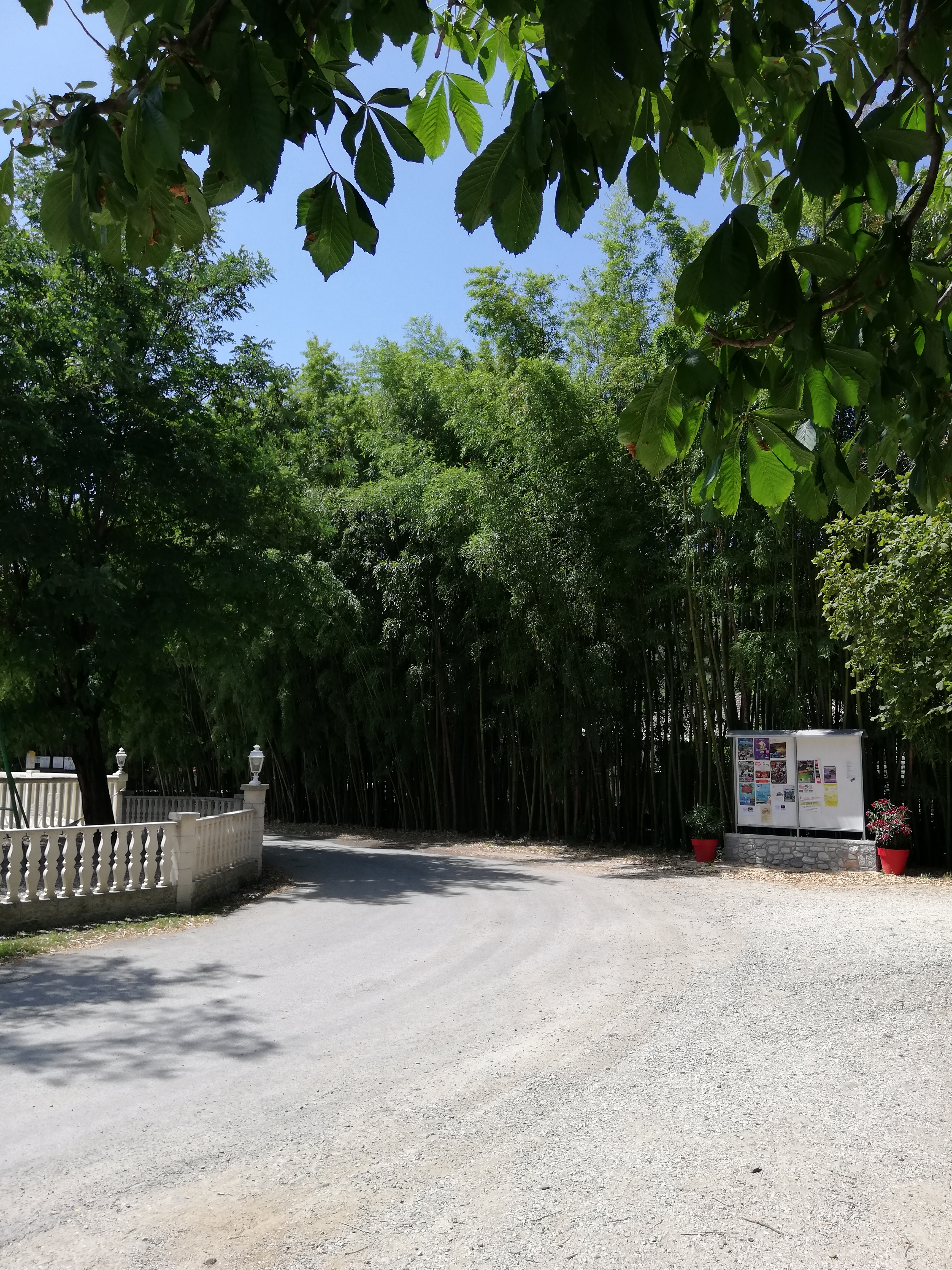 Photo n° 3 de l'avis de Schout.a fait le 28/06/2019 à 18:08