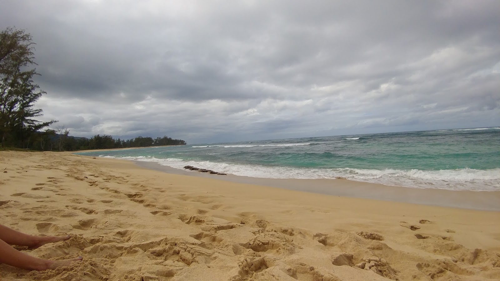 Foto de Polo Beach área selvagem