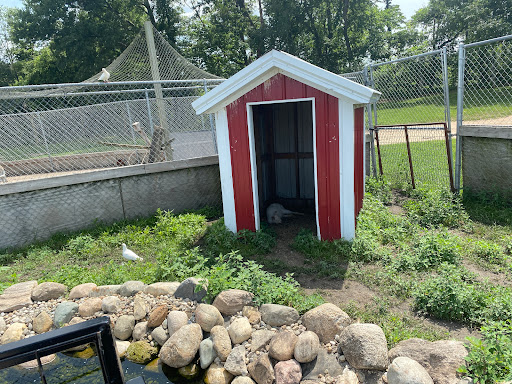 Zoo «Dutch Creek Farm Animal Park», reviews and photos, 6255 N 1000 W, Shipshewana, IN 46565, USA